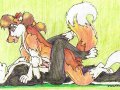 wolf skunk gay yiff.jpg